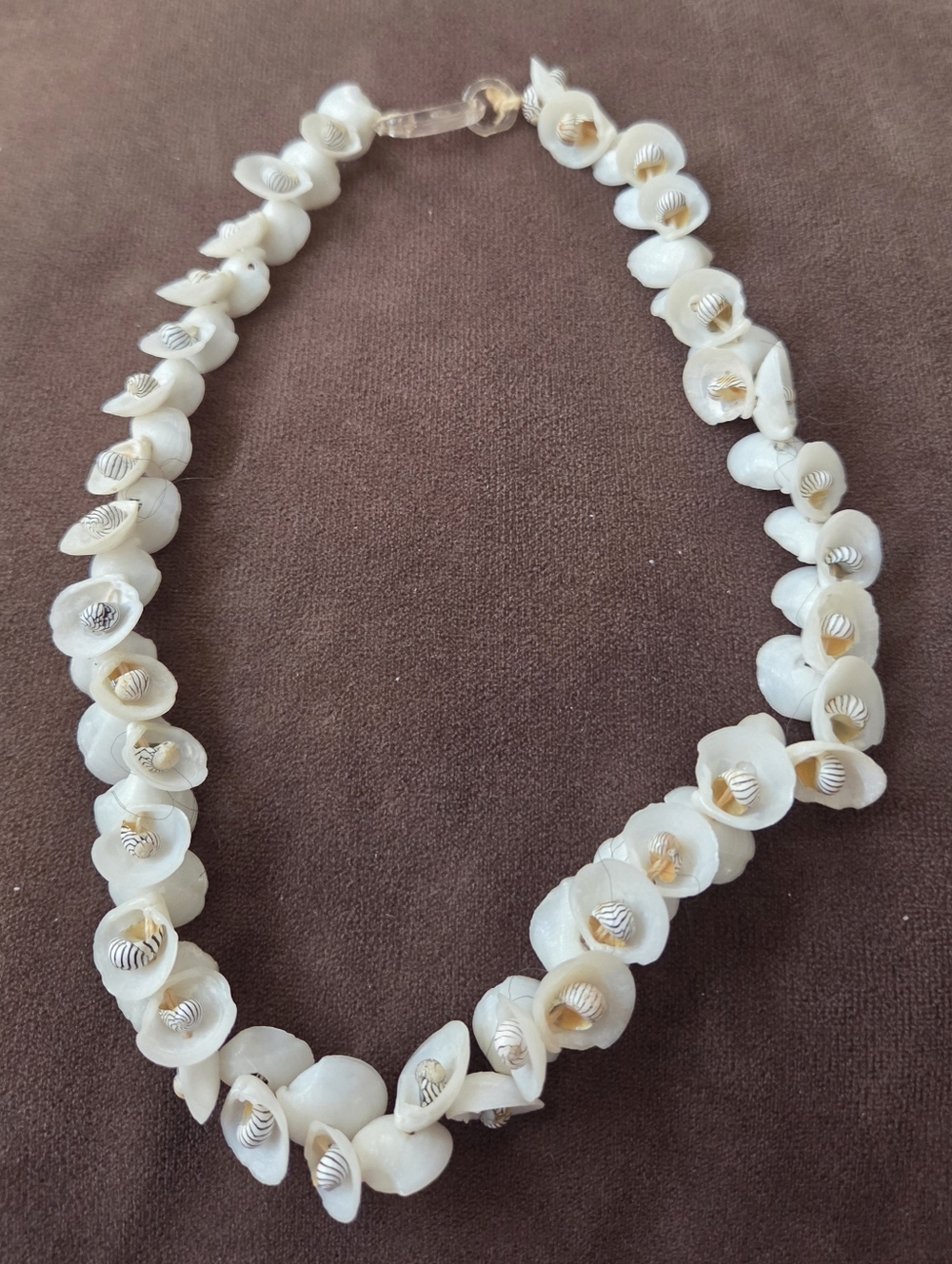 Natural Sea Shell Flower 17" Choker Necklace - Tiger Stripe - Vintage - Perfect